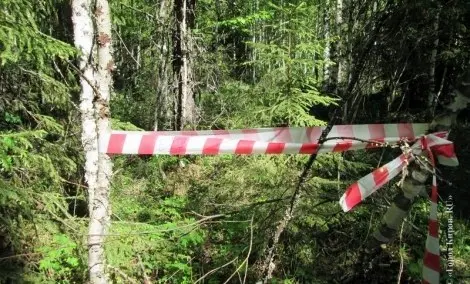 В Олекминском районе ведутся поиски малолетнего ребенка