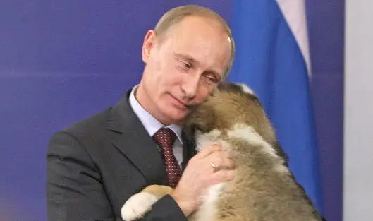 Путин отметит день рождения в сибирской тайге