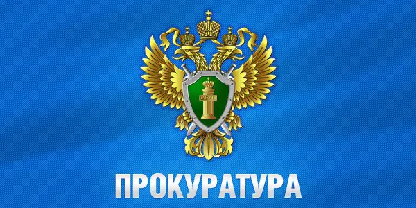  Условный срок за распространение порнографии 