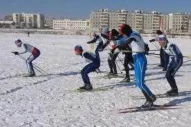 Лыжные гонки на зеленом лугу