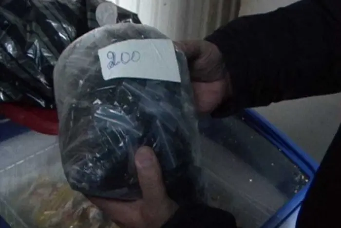 За дачу взятки  задержана гражданка Узбекистана