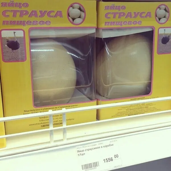 На прилавки Якутска поступили страусиные яйца
