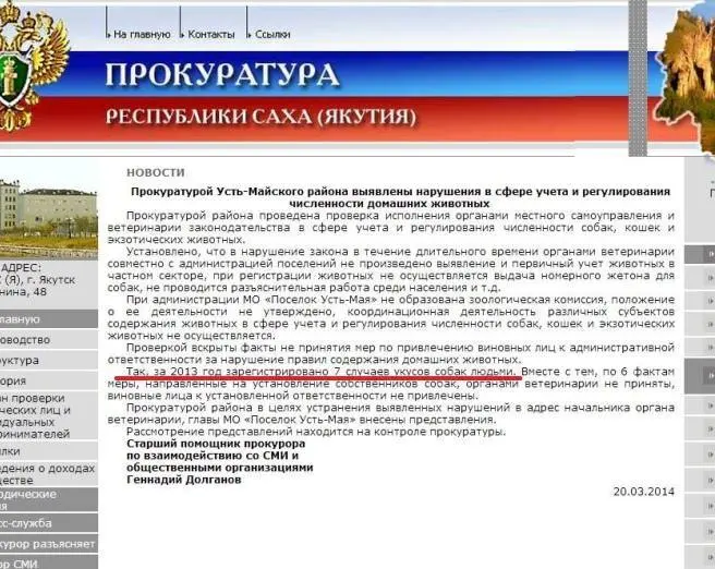 В Усть–Майском улусе люди кусают собак?