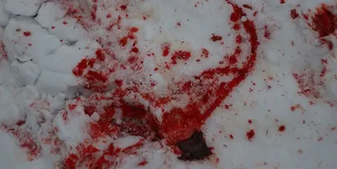 Глава посёлка Тикси обвиняется в халатности