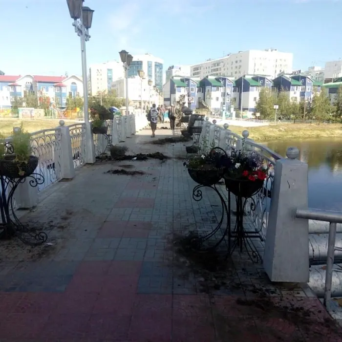 Вандалы раскидали землю и цветы из клумб на Талом озере