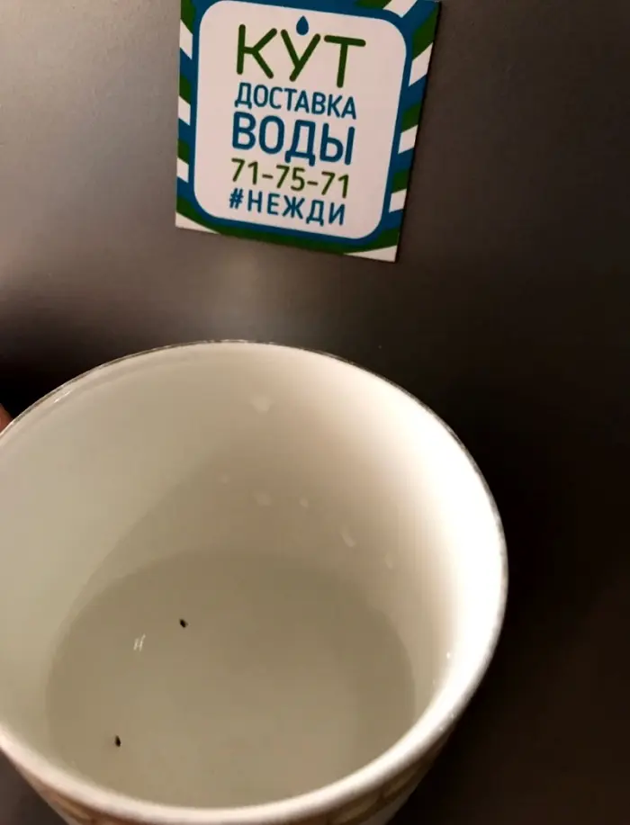 Компанию «Кут» обвинили в доставке воды с черной плесенью