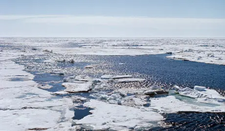 На острове Макар в море Лаптевых терпят бедствие 15 якутских рыбаков