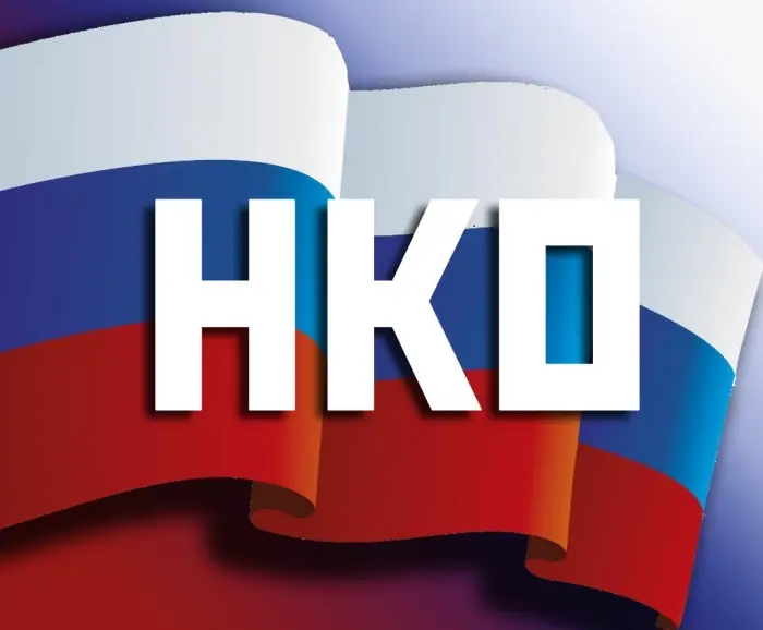 Дальневосточным НКО окажут поддержку в получении президентских грантов
