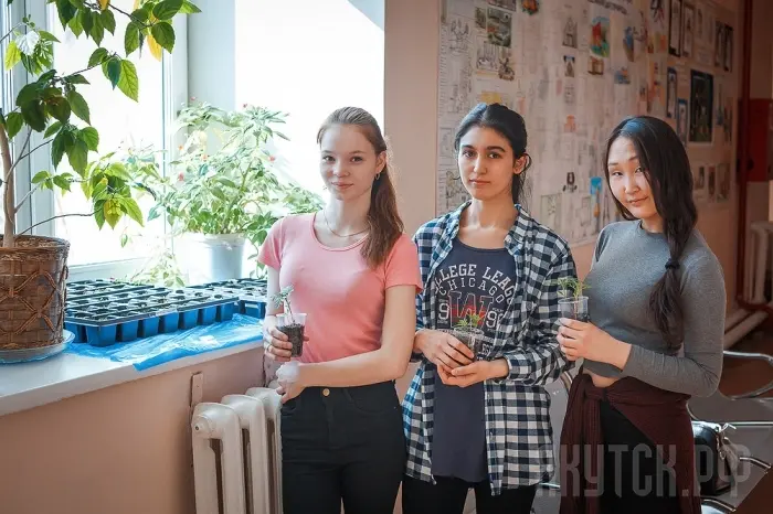 Цветущий Якутск: полтора миллиона цветов