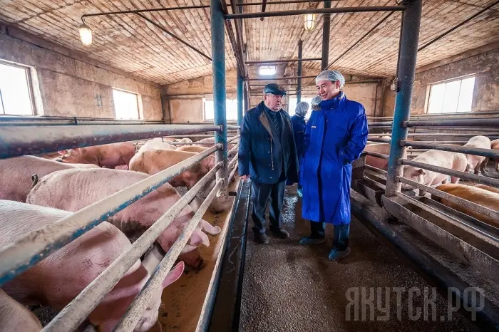 Передовые решения крестьянского хозяйства «Сибирь» представили мэру Якутска