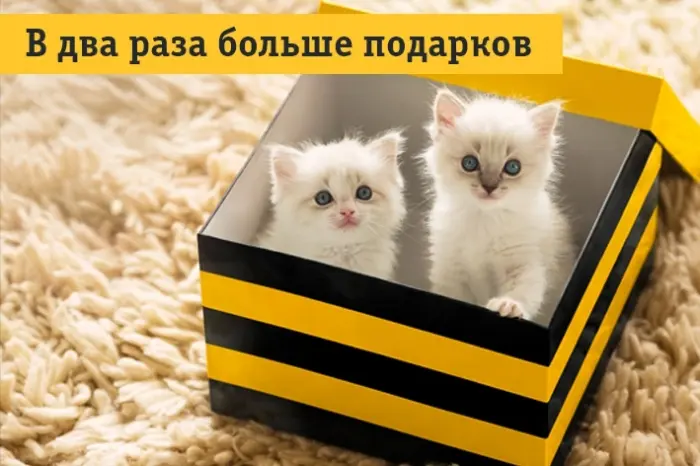 «Билайн» на обновленных тарифах «Всё» даёт в подарок дополнительный трафик