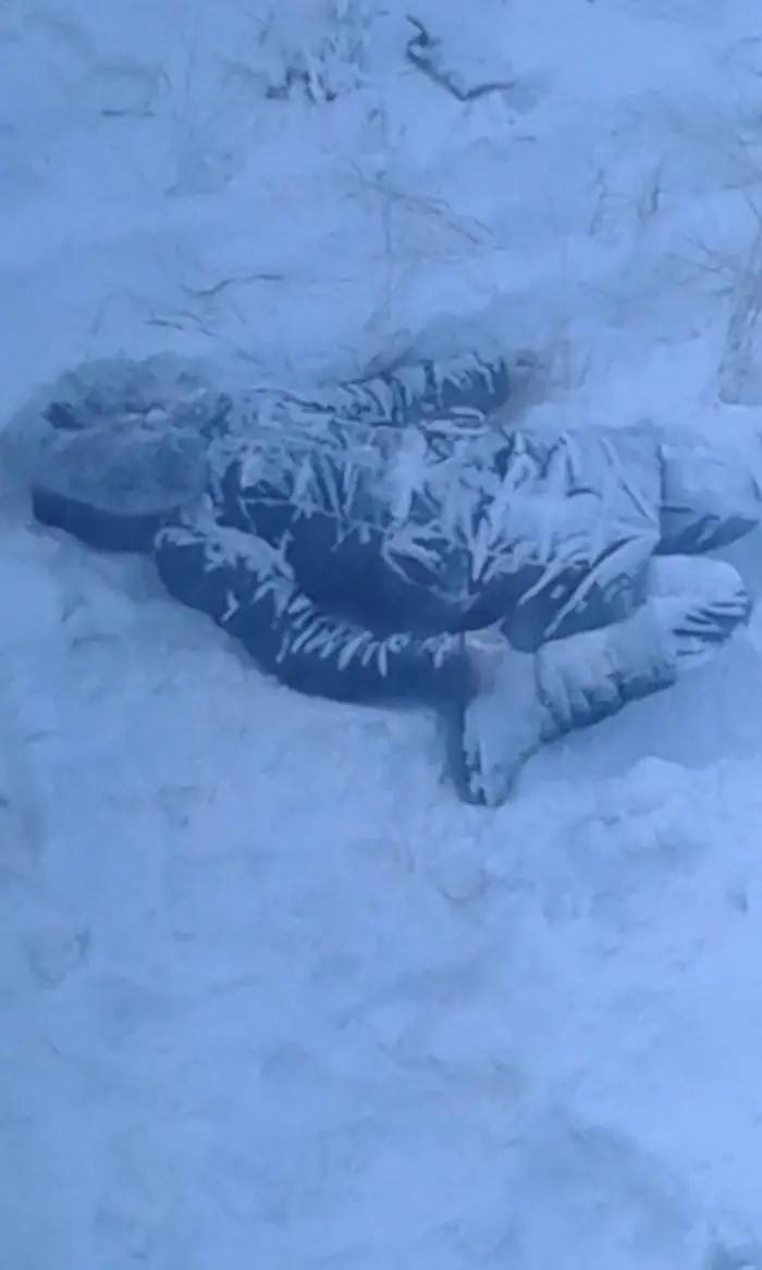 Установлена причина смерти женщины, обнаруженной по улице Кузьмина (18+)