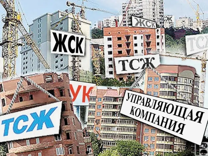 Что такое РСО, УК, ТСЖ, и как они взамодействуют