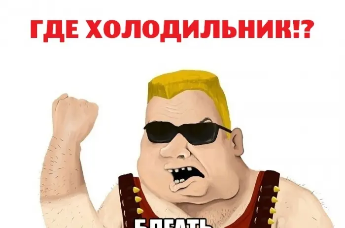 Мужчина, присматривающий за квартирой приятеля проворонил хозяйский холодильник