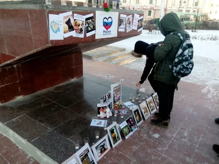 Общественники намерены взять контроль над Пунктом передержки животных