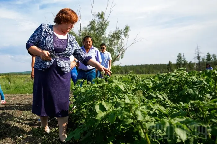 Объезд по сельхозугодиям Магана