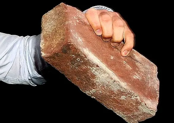 Два нелюдя убили женщину, скрылись, но были задержаны