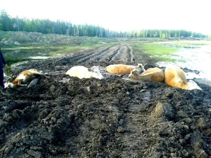 Снижение уровня жизни в Якутии обгоняет среднероссийские показатели