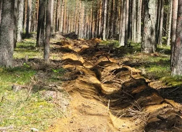 В Ленском районе найдено тело мертвого пожарного