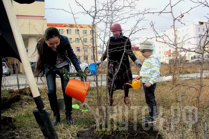 В Якутске стартует месячник по озеленению