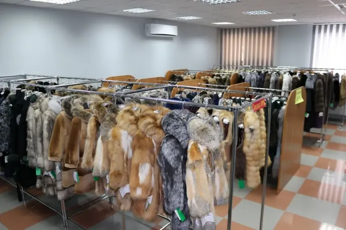 Кража года: похитивший 45 шуб из магазина фабрики «Сардаана» задержан