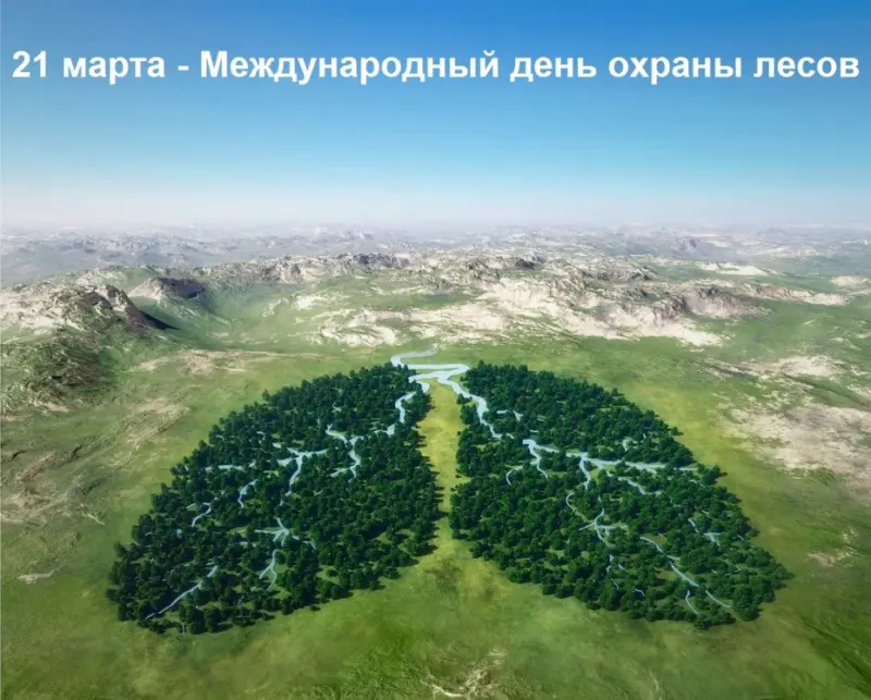 21 марта - Международный день охраны лесов
