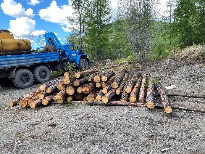 Завершено расследование уголовного дела по факту незаконной рубки лесных насаждений в Оймяконском районе