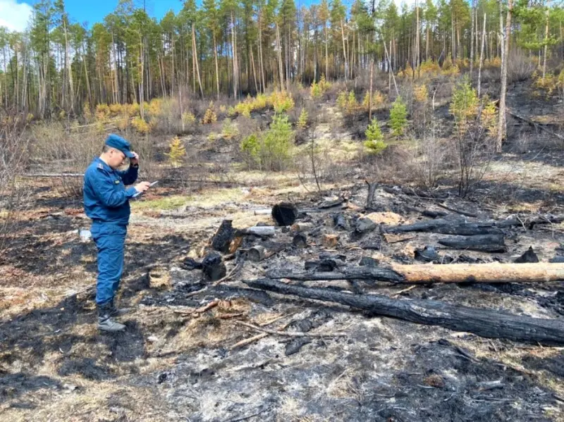 За сутки ликвидировано четыре природных пожара