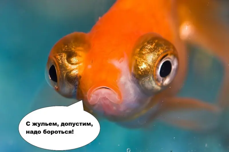 Три миллиона рублей выманили мошенники у рыбохозяйственной организации в Якутии