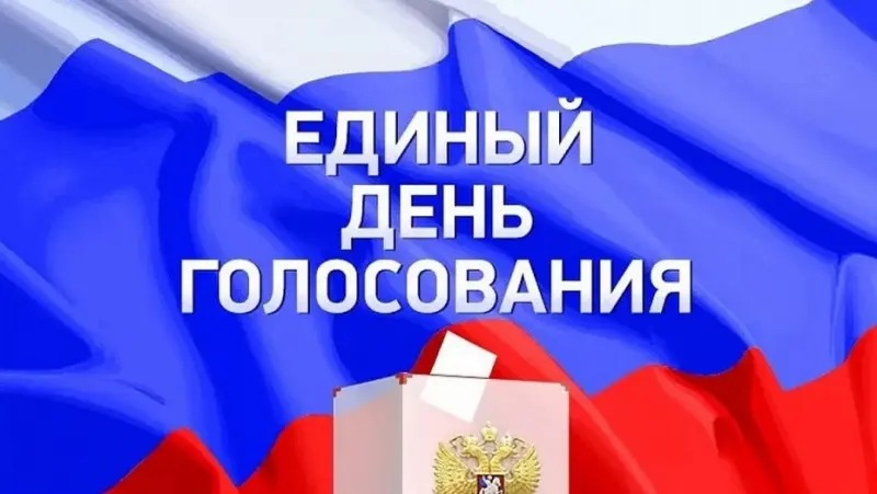 Эксперты оценили возможность переноса даты единого дня голосования по инициативе Памфиловой