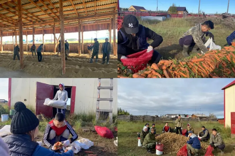 Практику в Хангаласском улусе проходят три группы студентов якутского сельхозтехникума