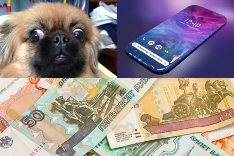 Смартфон, деньги и пекинеса украли у жительницы Алдана после пьянки