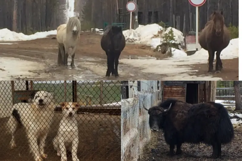 Природный парк "Живые алмазы Якутии": к зиме - готовы!