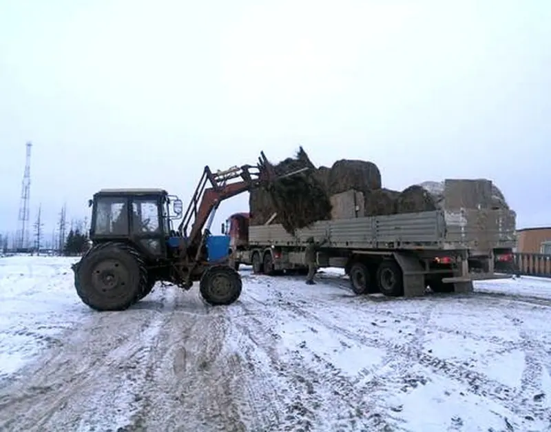 В Чурапчинском улусе идёт работа по контролю за качеством завозимого сена