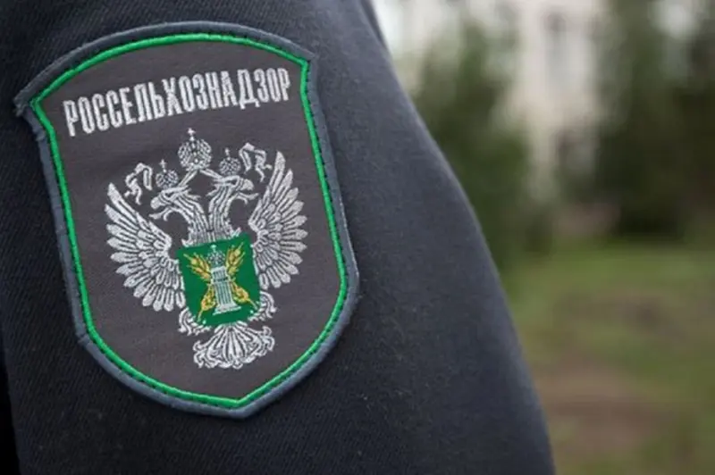 Россельхознадзор начал внеплановые проверки бизнеса и организаций для предотвращения завоза чумы свиней и птичьего гриппа