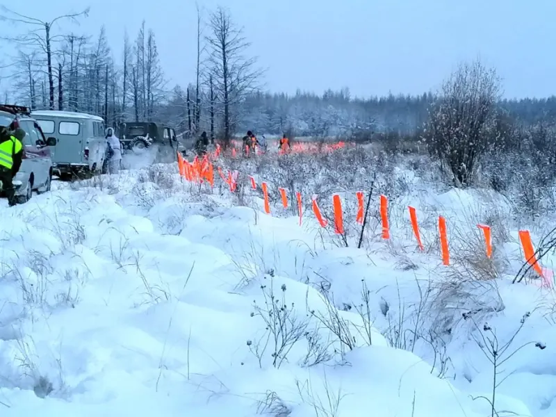 Волчий вопрос: В Вилюйском районе добыто шесть волков способом флажкового оклада