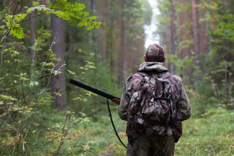 Информация о субаренде участков для охоты