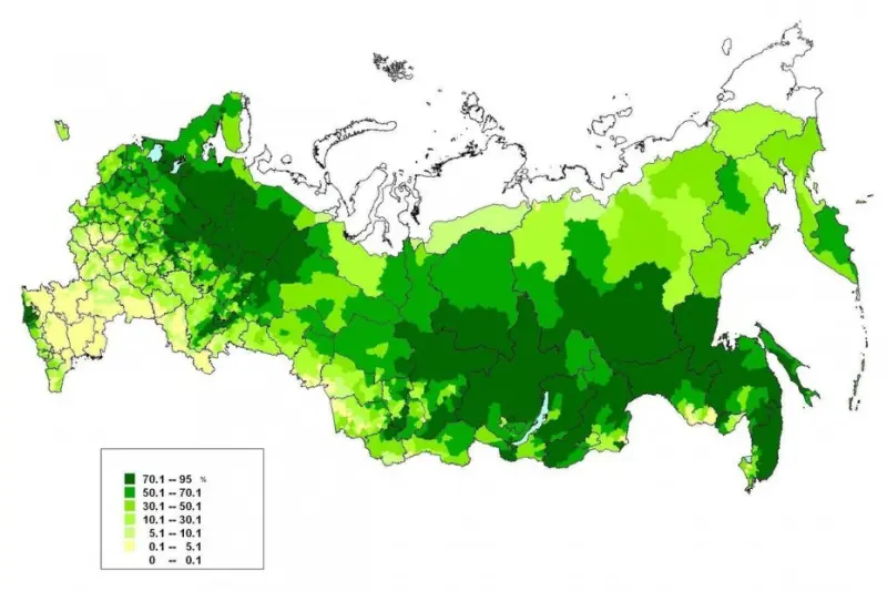 Рослесинфорг определит границы лесничеств на Дальнем Востоке