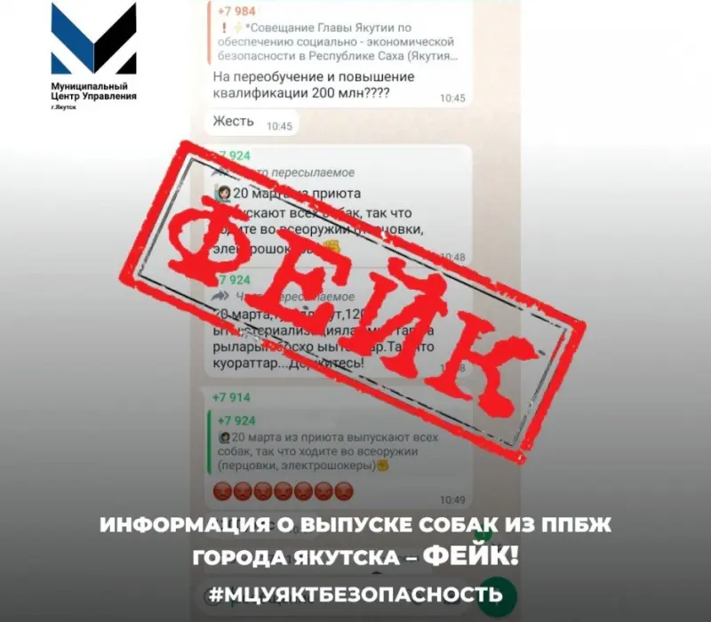 Мэрия Якутска: Информация о выпуске собак из ППБЖ – фейк!