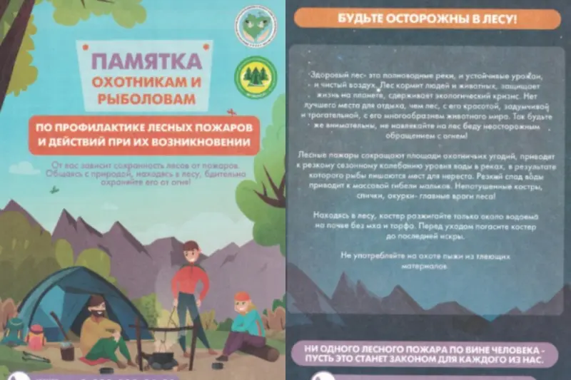 Для профилактики лесных пожаров и действий при их возникновении