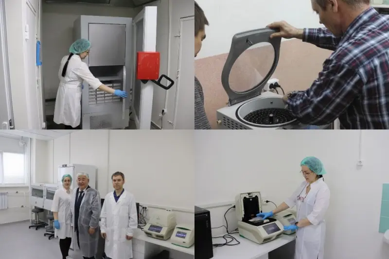 В Институте биологических проблем криолитозоны начинает работу новая генетическая лаборатория