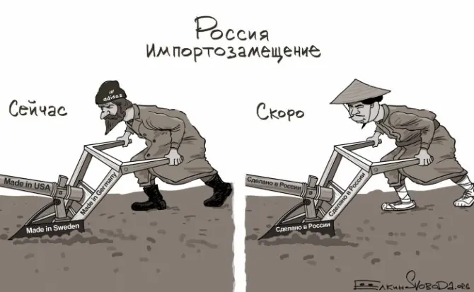 Сенатор заявил о провале программы импортозамещения в РФ