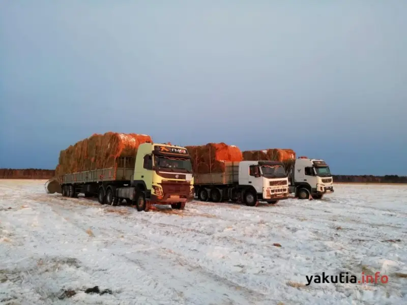 Где деньги, Минсельхоз? Прокуратура Якутии организовала проверку по факту публикации «Якутия.Инфо»