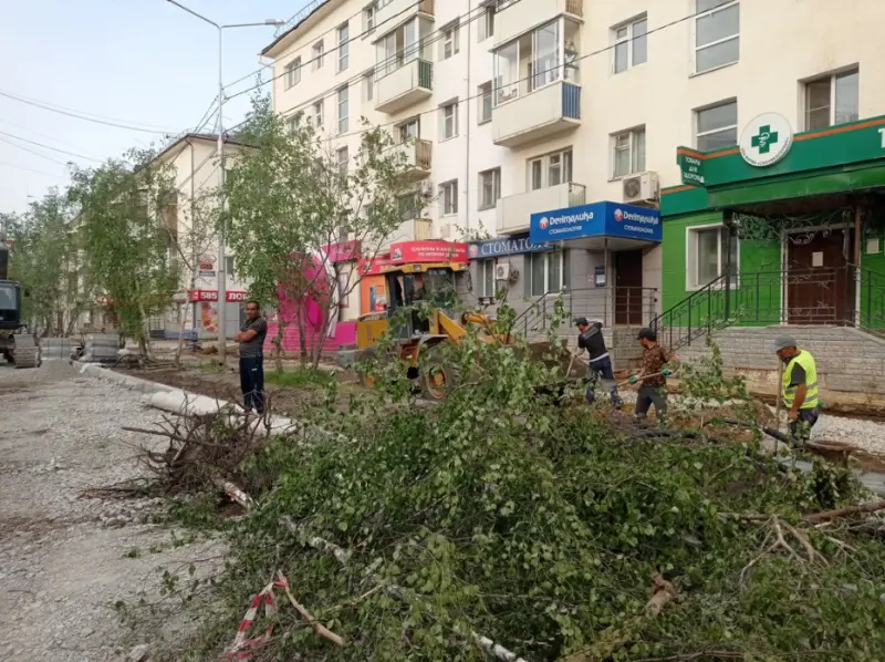 Реконструкция проспекта Ленина: Новые деревья и чудо-кабели. Фотографии