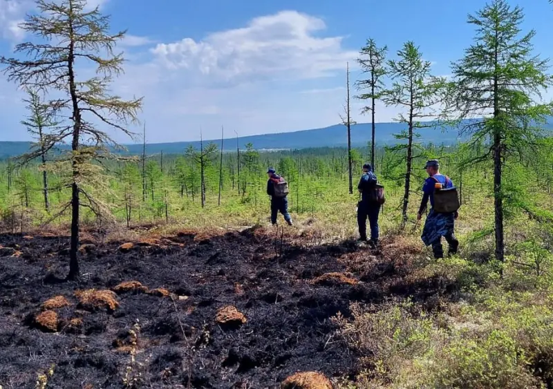 По состоянию на 17 июня в Якутии действуют 17 пожаров