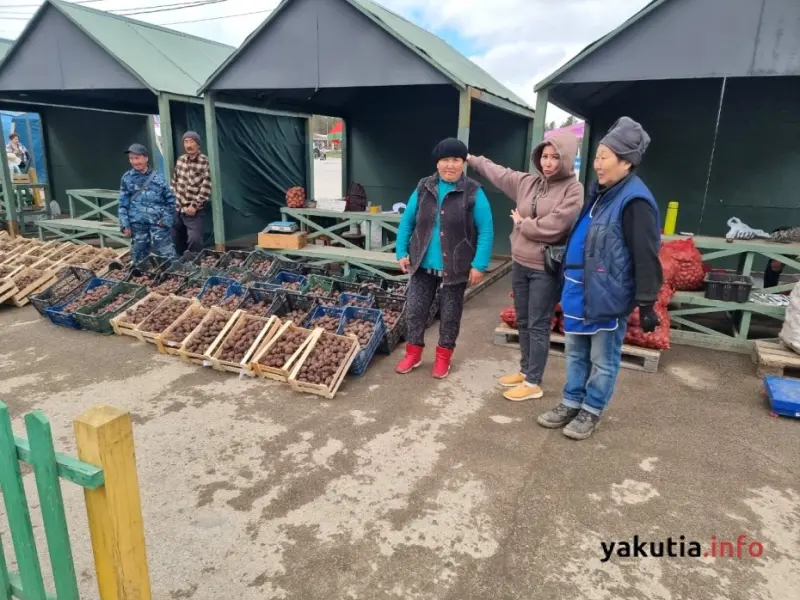 Фермеры сохранят свои места на Комсомольской площади, но на новых условиях