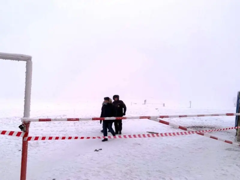 Крайним в деле Сарданы Слепцовой, погибшей от нападения собак в Якутске, стал замруководителя СЭГХ