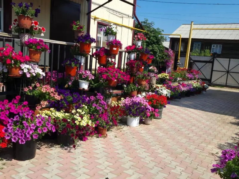 Мэрия объявила продолжение конкурса на лучшее озеленение Якутска
