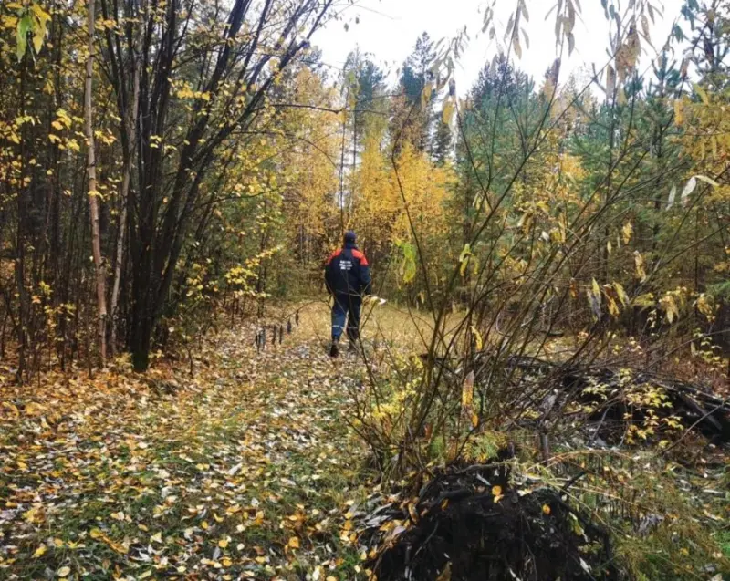 В поисках пропавших пенсионеров: В Нюрбинском улусе мужчина найден, в Горном ведутся поиски