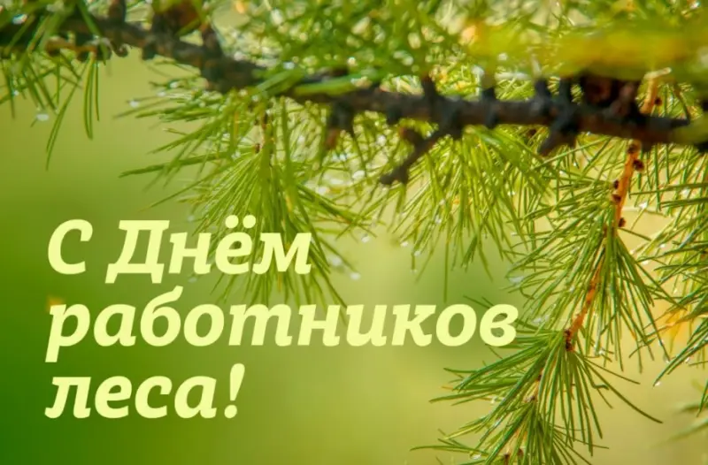С Днём работника леса